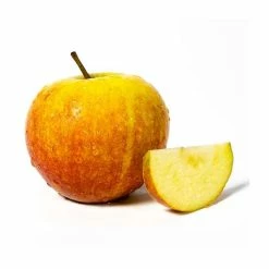 5ft 'Cox Self Fertile' Dessert Apple Tree | MM106 Semi Vigorous Rootstock | 12L Pot | By Frank P Matthews™